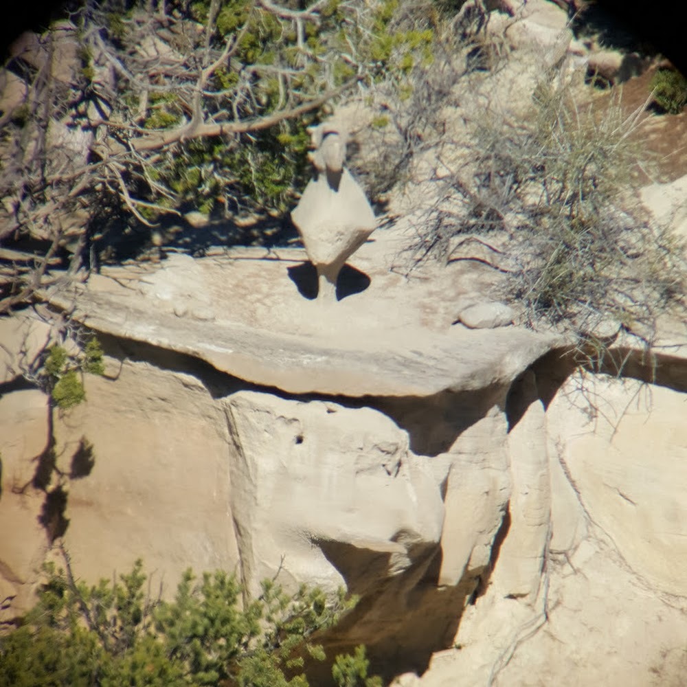 Meet your Posher, Cc